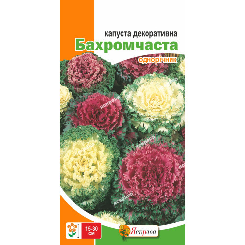 Капуста декоративная